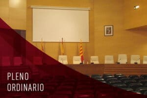 Pleno Ordinario