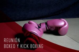 reunion boxeo y kick boxingg
