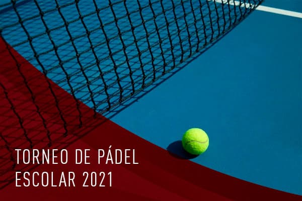 Imagen de pelota y pista de pádel