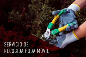 Imagen de un jardinero podando un seto