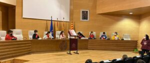 pleno infantil constitucion 4