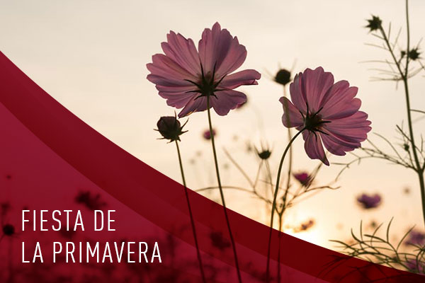 Fiesta de la primavera 2002