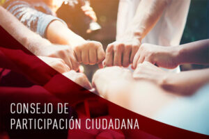 Consejo de participación