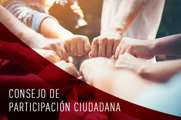 Consejo de participación