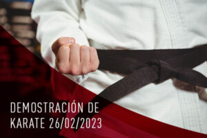 Demostración de karate